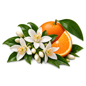 Orange Blossom