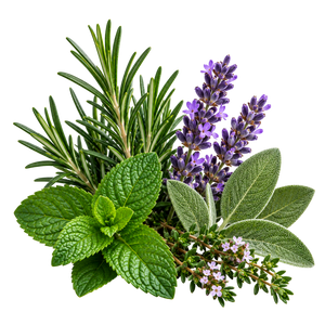 Aromatic