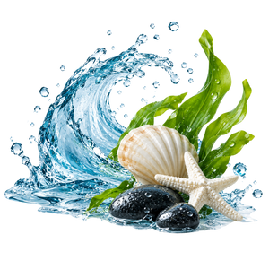 Aquatic