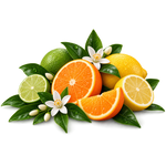 CITRUS
