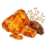AMBER