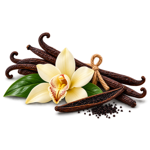 Vanilla